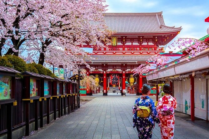 Private Transfer: Haneda Airport HND to Tokyo in Sedan Car - Additional Information