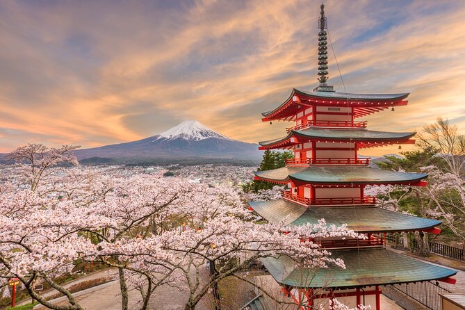 2 Day Mount Fuji and Tokyo Tour by Private Car or Wagon - Hotel Pickup in Tokyo