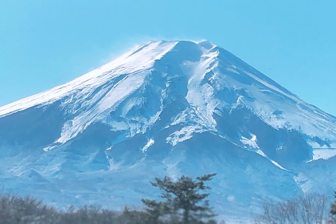 Full Day Private Fuji Tour With English Driver & Muslim Friendly - Experience the Beauty of Mt. Fuji With an English-Speaking Driver