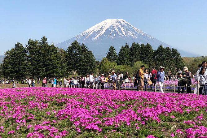 Full Day Private Fuji Tour With English Driver & Muslim Friendly - Frequently Asked Questions