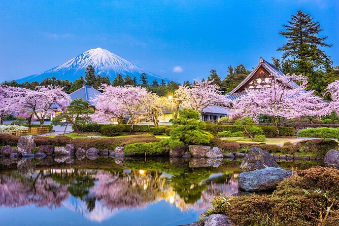 Full Day Private Fuji Tour With English Driver & Muslim Friendly - The Sum Up