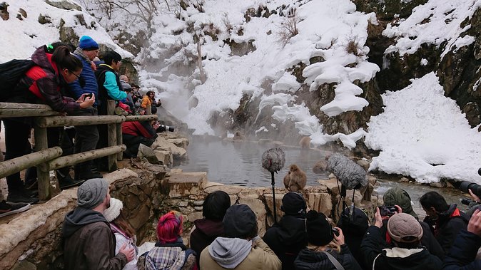 Snow Monkey, Shiga Kogen Roman Museum With Lunch Buffet - Lunch Buffet and Traveler Information