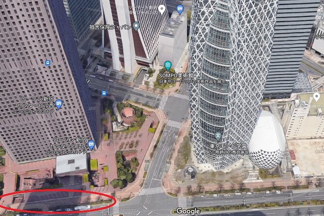 Cherry Blossom Five-Story Pagoda, Mt. Fuji 5th Station, Panoramic Ropeway Day Tour - The Sum Up