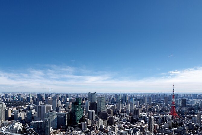 Tokyo Full-Day Instagram Highlights Private Tour With Government-Licensed Guide - Weather and Refunds