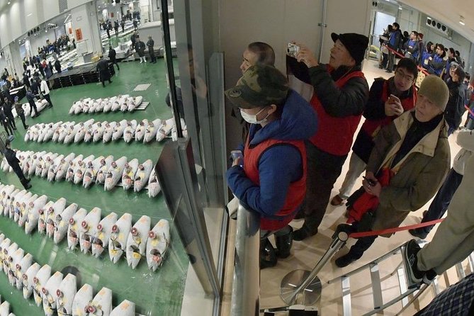 Tokyo Food & Culture Half-Day Private Tour With Government-Licensed Guide - The Sum Up