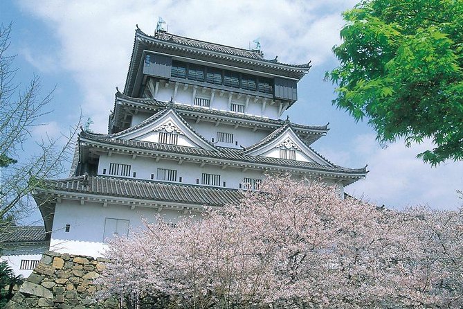 A Day Charter Bus Tour Around Cherry Blossoms in Northern Kyushu - Directions and Itinerary