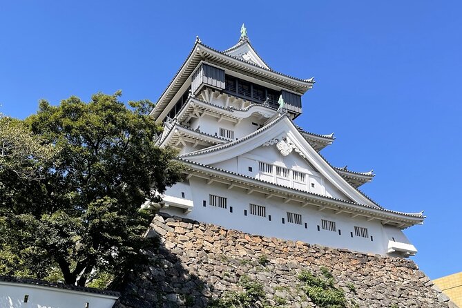 Private Tour to Kokura Castle, Uomachi Street, and Yasaka Shrine - Local Culture