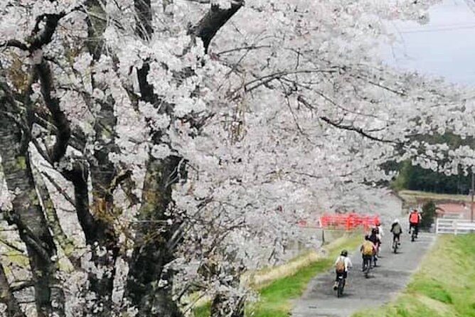 Oasa Country Cycling (Free BUS RIDE From Hiroshima With JR Pass) - Frequently Asked Questions