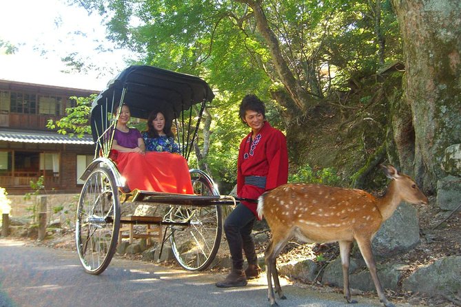 Private Miyajima Rickshaw Tour Including Itsukushima Shrine - Reviews