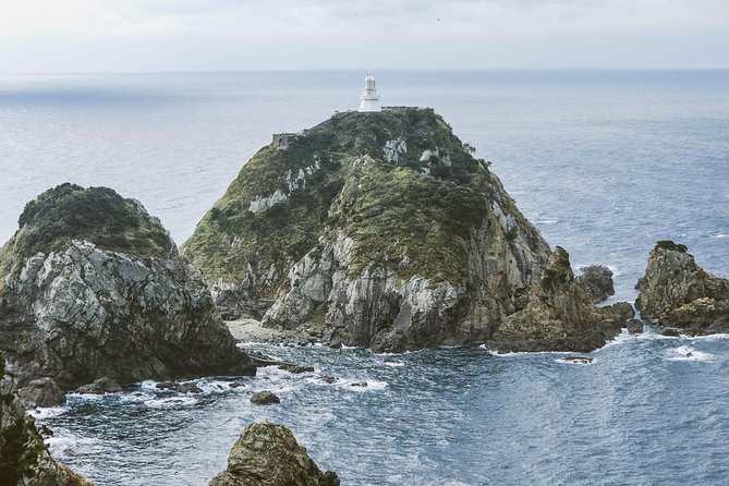 Kagoshima Custom Half Day Tour - Pricing and Booking Details