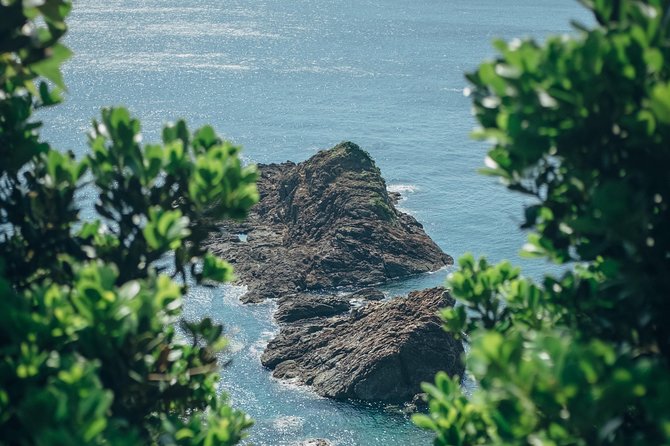 Kagoshima Custom Half Day Tour - Attractions and Fees