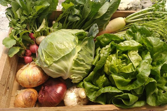 Rental Bike & U-Pick: Organic Vegetable and Onigiri Bento Workshop - End Point and Transportation