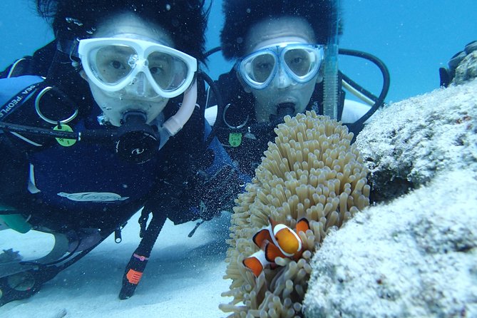 Full Day "Experience Diving" Trip at Kerama Islands - Trip Overview