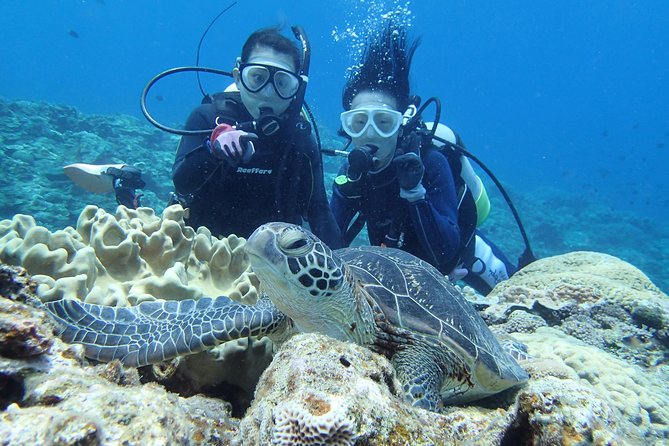 Full Day "Experience Diving" Trip at Kerama Islands - Participant Requirements