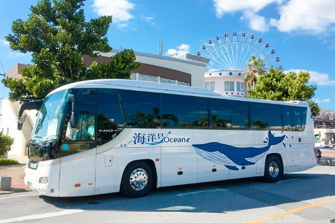 North Okinawa Bus Day Tour Manzamo Kouri Island Ocean Expo Park American Village - Discovering American Village