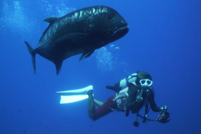 Full Day Guided Boat 2diving in Kerama Islands（License Required） - Cancellation Policy