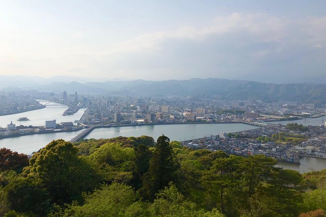 Day Kochi Highlights Tour With Local Guide Quick Takeaways