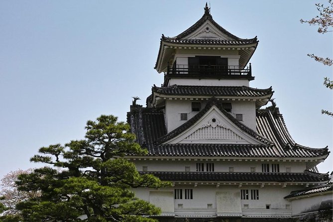 1-Day Kochi Highlights Tour With Local Guide - Additional Information