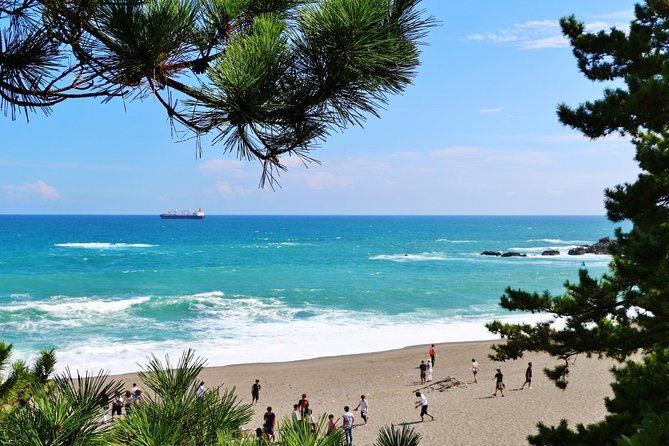 Kochi Full-Day Private Trip With Government-Licensed Guide - Meeting and Pickup Information