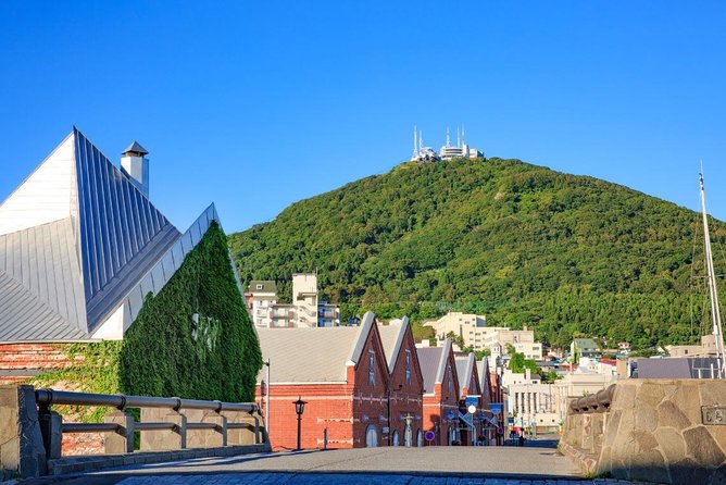 Hakodate Half-Day Private Tour With Government-Licensed Guide - Questions and Assistance