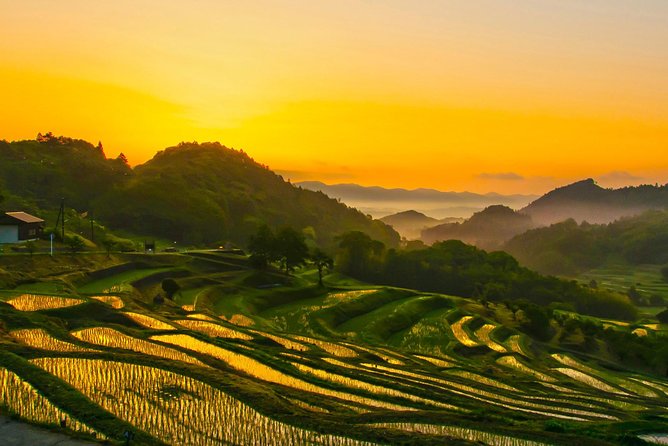 Noto Full Day Driving Tour (Private Car) - Reviews