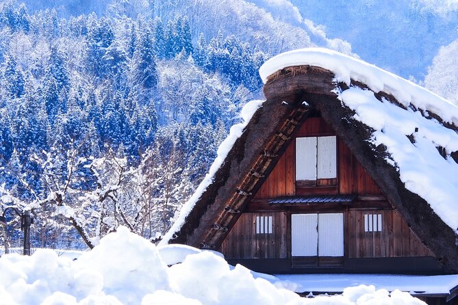 Shirakawa-Go and Hida-Takayama Private Day Trip From Nagoya - Highlights