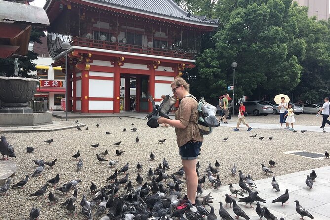 Walking Small-Group Nagoya City Tour - Accessible Locations