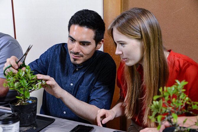 1Day-Bonsai & Sencha Tea Experience: Pastime of the Literati - Bonsai and Sencha Tea: A Perfect Combination for Relaxation and Mindfulness