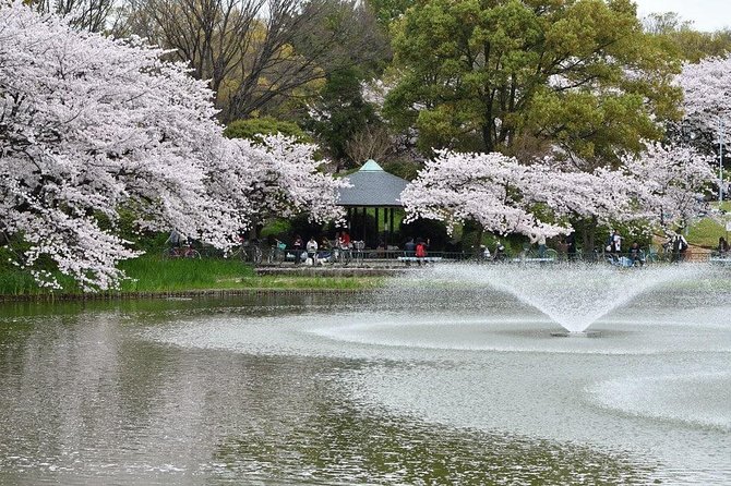 Nagoya Custom Half Day Tour - Pricing and Cancellation Policy