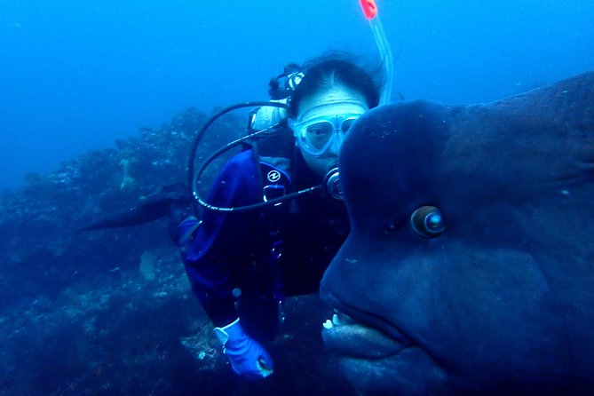 Let'S Enjoy Scuba Diving in Izu Oceanic Park Izu Peninsula for Certificate Diver - Frequently Asked Questions
