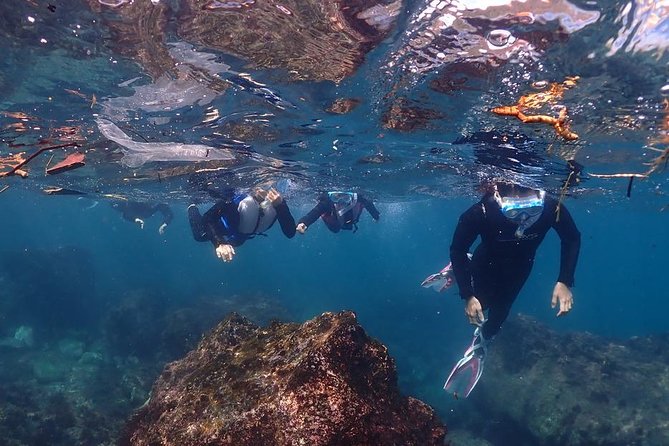 Scuba Diving & Snorkeling - Scuba Diving Vs. Snorkeling: Pros and Cons
