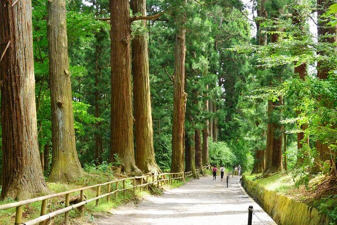 Hiraizumi Half-Day Private Trip With Government-Licensed Guide - Cancellation Policy