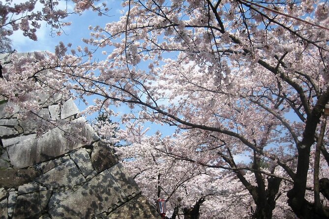 Morioka Full-Day Private Tour With Government-Licensed Guide - Overview and Inclusions