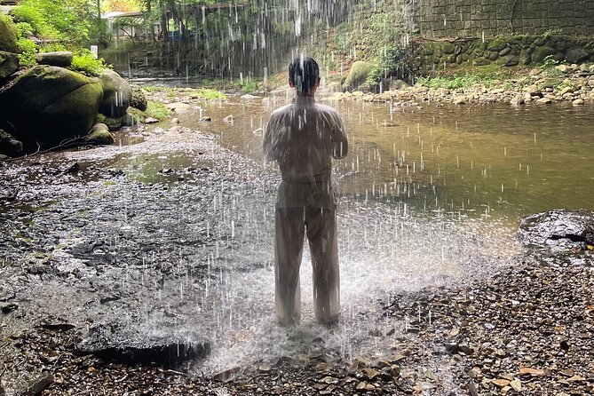 Full-Day Private Adventure in Ibaraki and Fukuroda Waterfalls - Whats Included