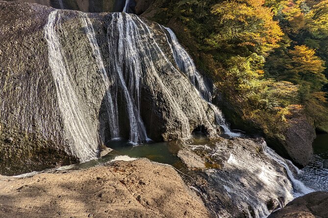 Full-Day Private Adventure in Ibaraki and Fukuroda Waterfalls - Start Time