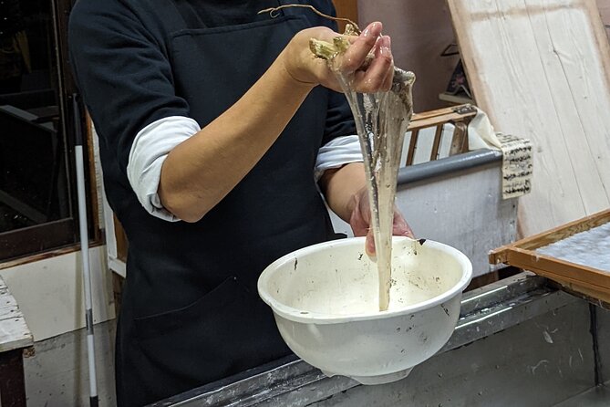 Private Adventure Tour in Northern Ibaraki and Washi Paper Making - Inclusions and Amenities