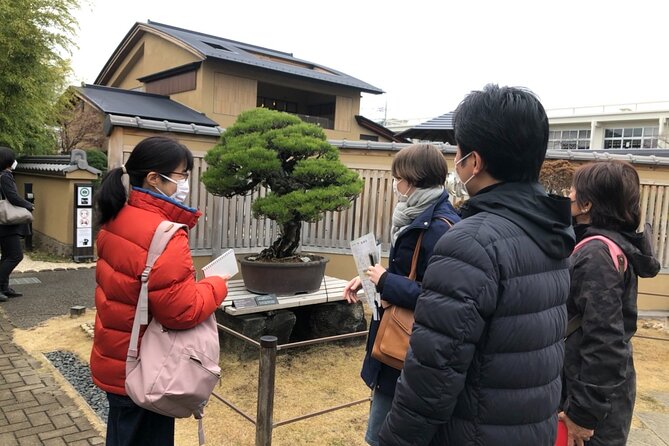 Omiya Bonsai Private Tour - Tour Highlights