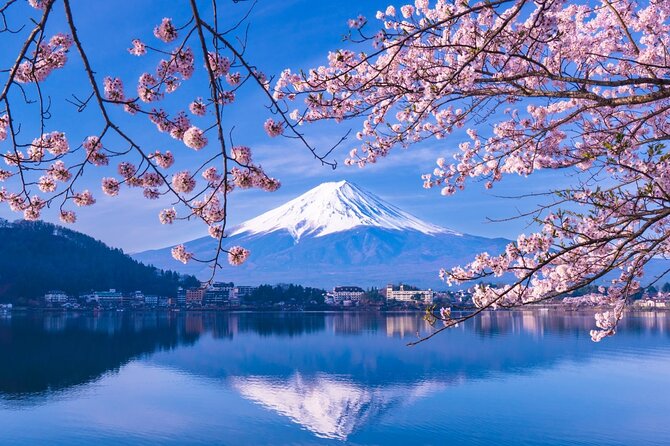 Private Car/Van Charter Full Day Tour MT Fuji And Hakone, (Guide) - Frequently Asked Questions