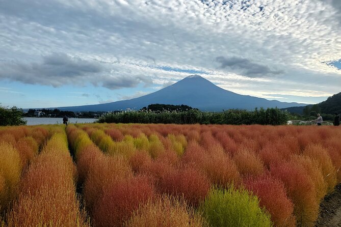 Mount Fuji Personalized Private Tour With English Speaking Guide - Transportation Details