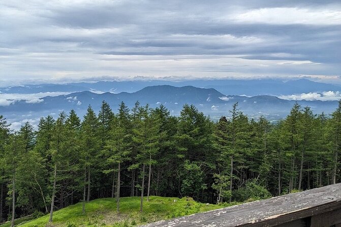 1 Day Tour Mt Fuji Lake Kawaguchiko English Speaking Driver Guide - Positive Customer Experiences and Guide Appreciation