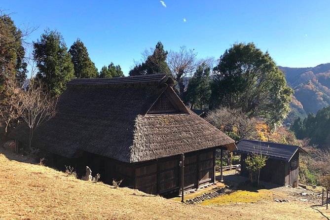 One Day Tour of Tokyos Plentiful Nature in Hinohara Village - Exploring Hinohara Villages Natural Landscapes