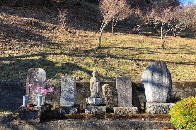 One Day Tour of Tokyos Plentiful Nature in Hinohara Village - Discovering Hinohara Villages Waterfalls and Rivers