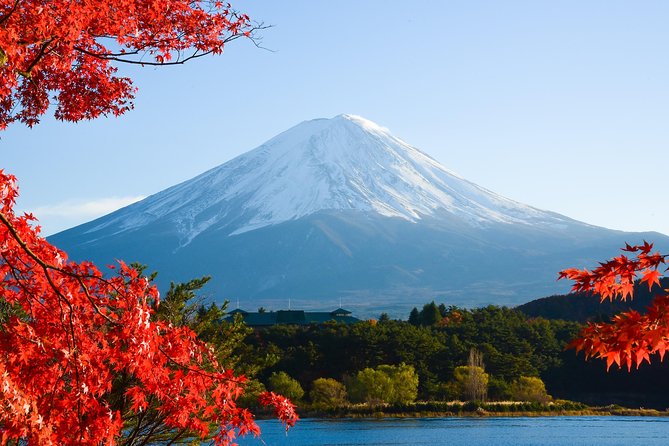 Fuji and Lake Kawaguchi Tour - Overview
