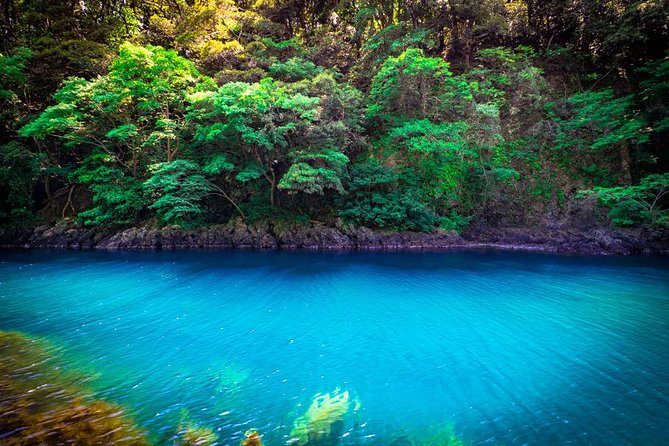 Seasonal Shuttle to Minami-Sado - Additional Resources and Information