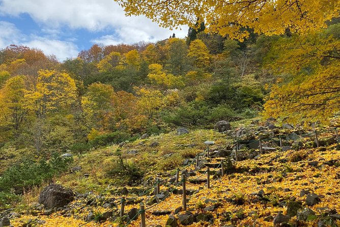 Niigata Custom Full Day Tour - Frequently Asked Questions