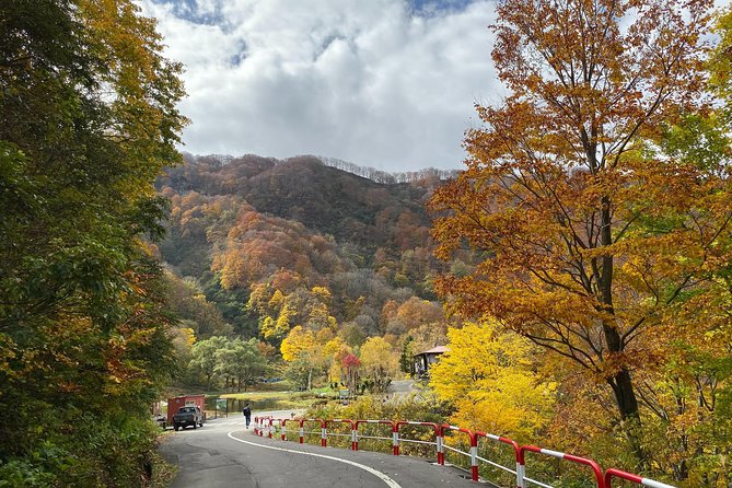 Niigata Custom Half Day Tour - Pickup Information