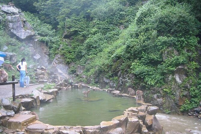 1-Day Private Snow Monkey ZenkoJi Temple & SakeTasting NaganoTour - Inclusions and Pricing