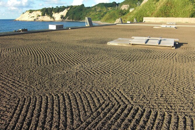 Full-Day Bicycle Tour on the Noto Peninsula - The Sum Up