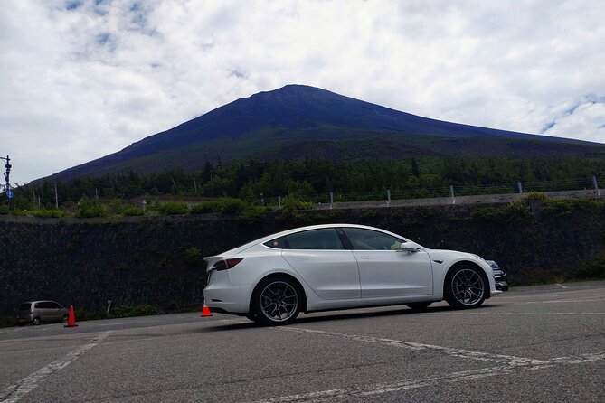 Go Anywhere With a Tesla Rental Car (Free Plan) - How to Book a Tesla Rental Car