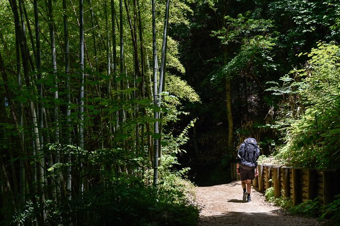 Magome & Tsumago Nakasendo Trail Day Hike With Government-Licensed Guide - Traveler Reviews